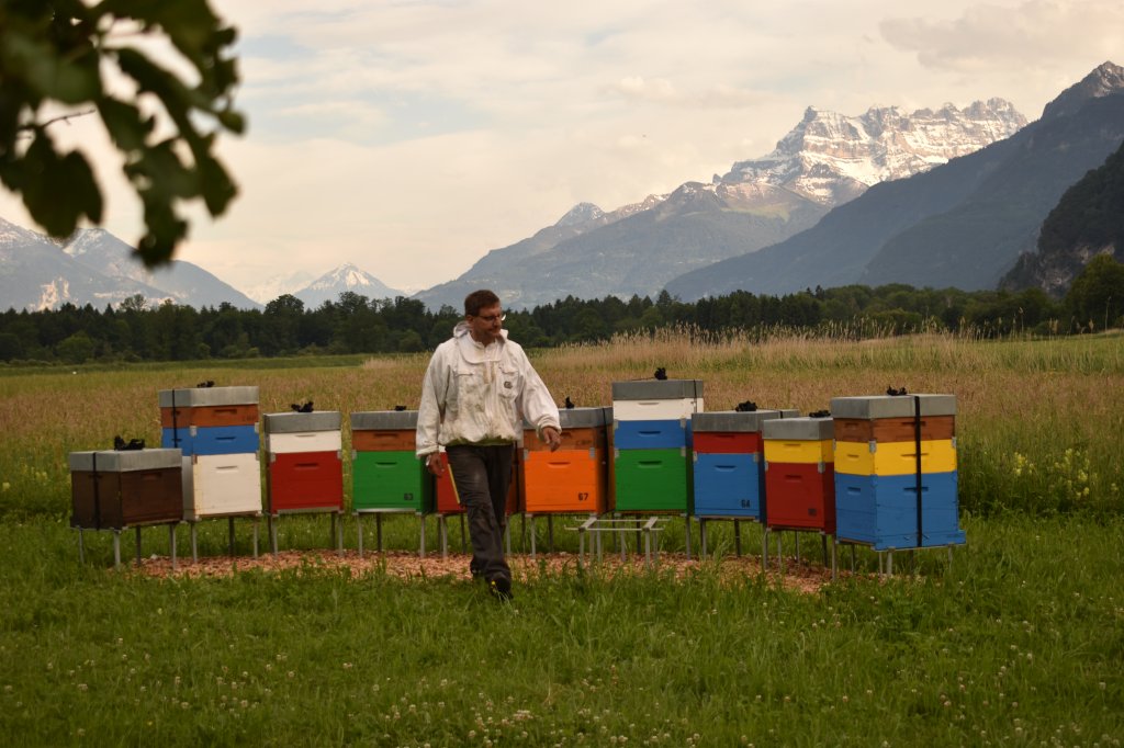 miel suisse, apiculteur, carrupt-miel.ch
